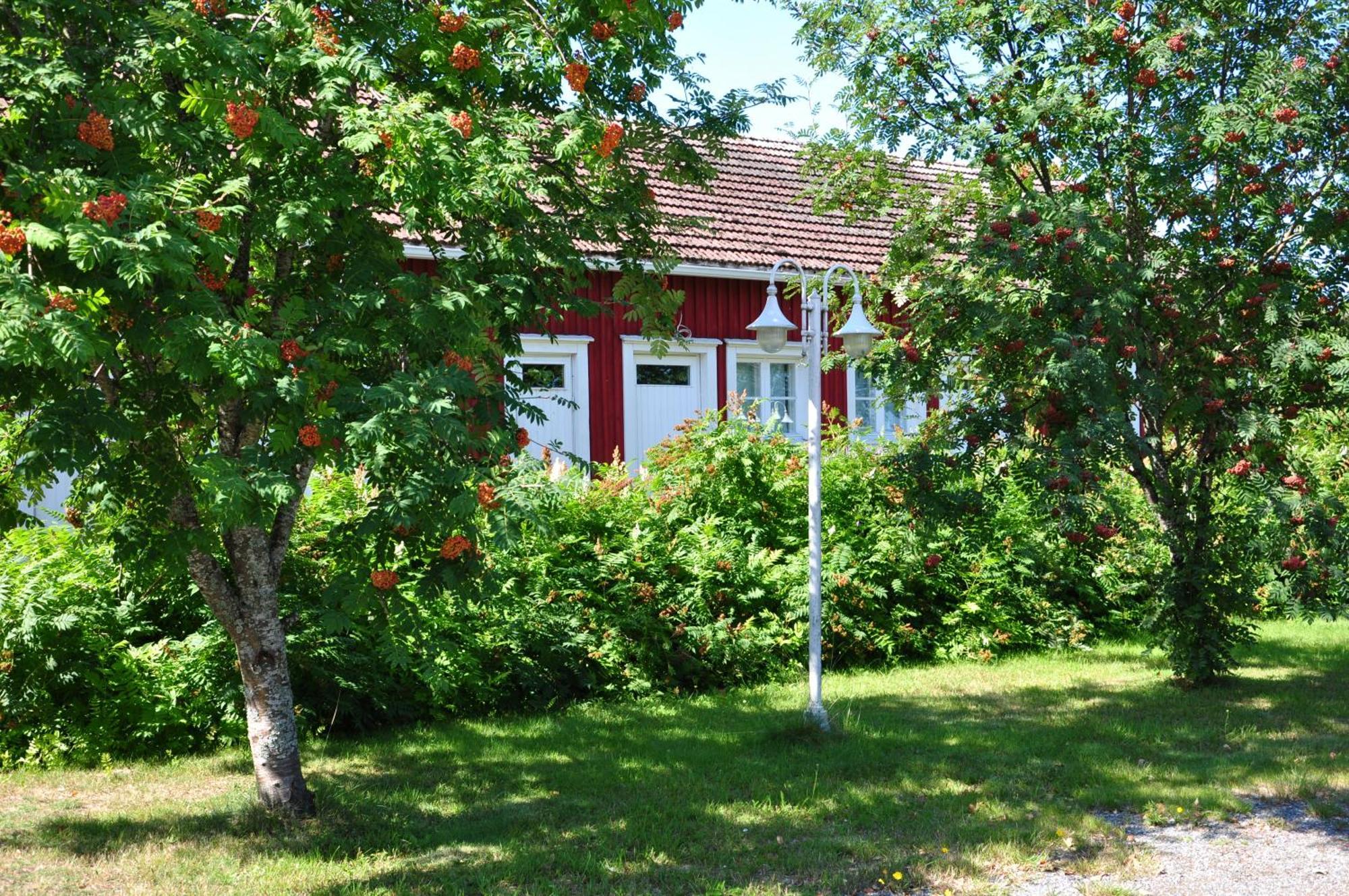 Opintola Bed&Breakfast Norinkylä Esterno foto