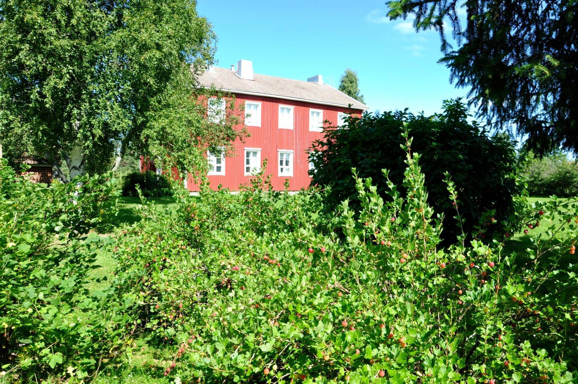Opintola Bed&Breakfast Norinkylä Esterno foto